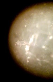 a Scuola di Vela (4/2017)