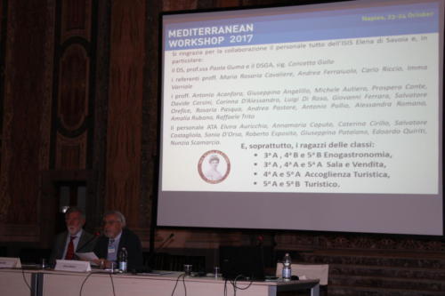 Mediterranean Workshop 2017 (23-24/10/2017)