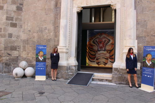 Occhio alla Vita (24/11/2017)