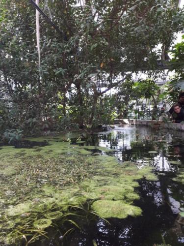 Orto Botanico (20/12/2017)