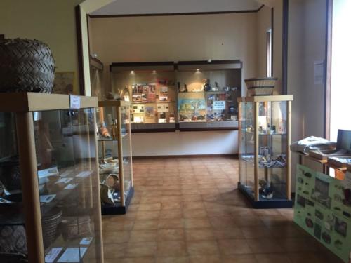 Orto Botanico (20/12/2017)