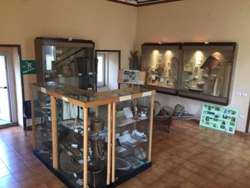 Orto Botanico (20/12/2017)