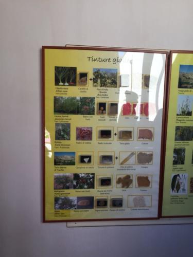 Orto Botanico (20/12/2017)