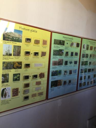 Orto Botanico (20/12/2017)