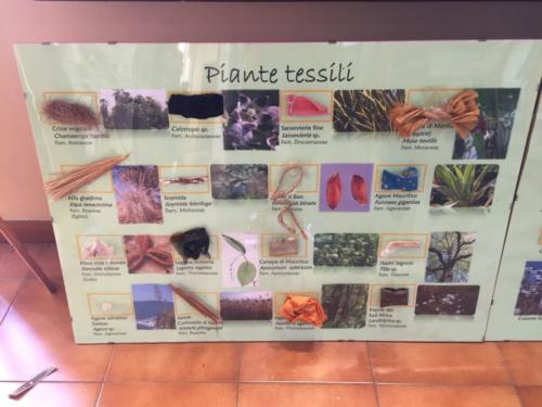 Orto Botanico (20/12/2017)