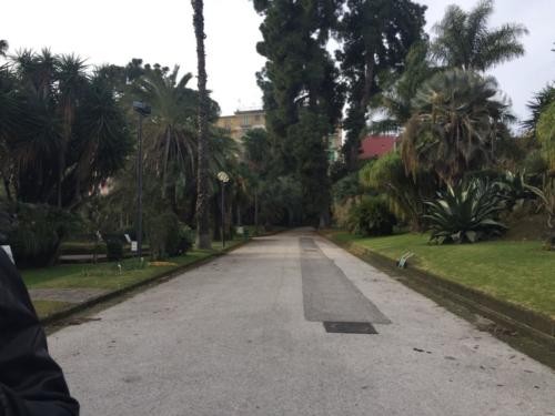 Orto Botanico (20/12/2017)