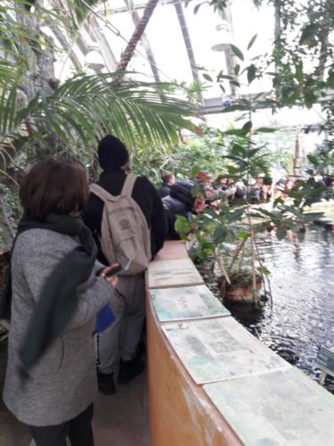 Orto Botanico (20/12/2017)
