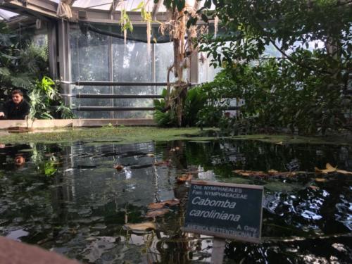 Orto Botanico (20/12/2017)