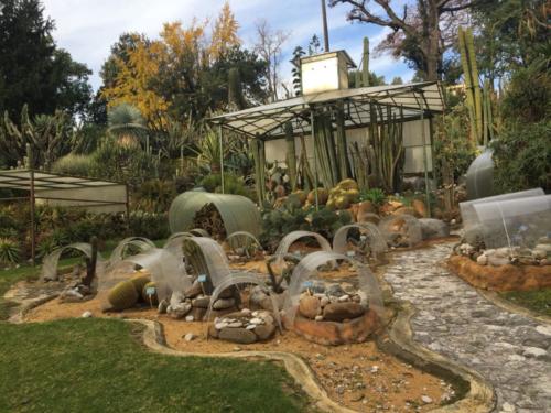 Orto Botanico (20/12/2017)