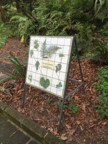 Orto Botanico (20/12/2017)