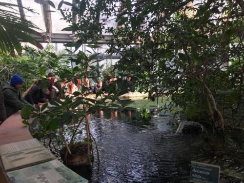 Orto Botanico (20/12/2017)