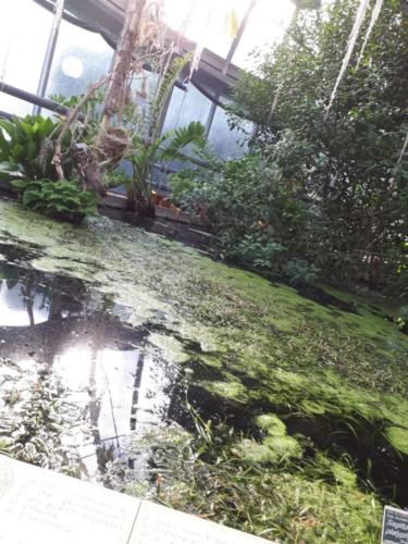 Orto Botanico (20/12/2017)