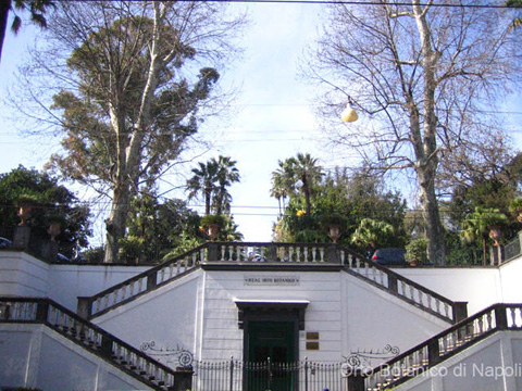 Orto Botanico (20/12/2017)