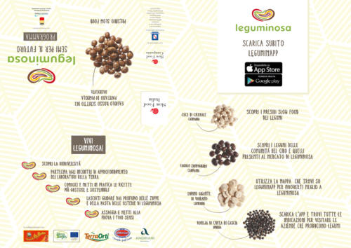 Leguminosa (9/3/2018)