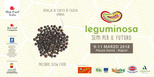 Leguminosa (9/3/2018)