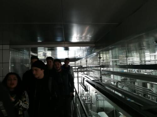 "La Pagliara" e "Poderi Foglia" (13/03/2018)