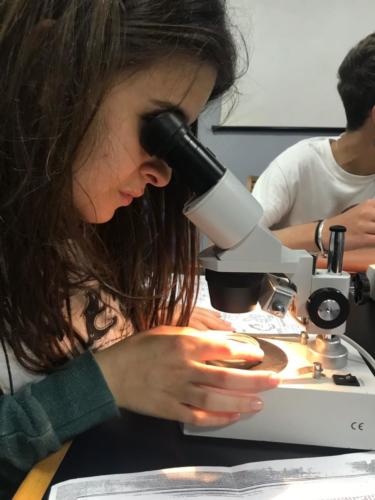 Progetto Vela (19-20/4/2018 e 18/5/18)