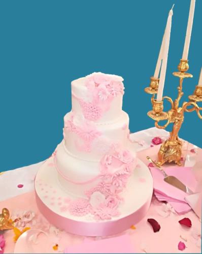 Preparazioni degli alunni