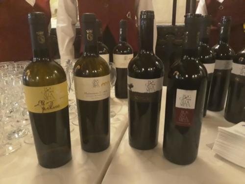 Premio  “Napoli per Telethon 2018” – Museo Filangieri (12/12/2018)