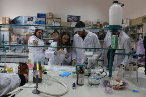 Open Day del 12/01/2019 