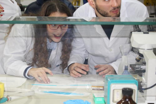 Open Day del 12/01/2019 