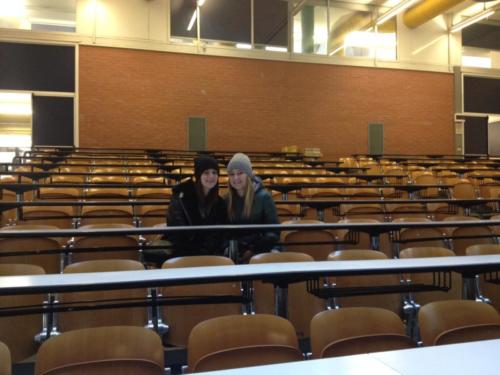 Olimpiadi della Matematica (7/2/19 e 19/2/19)