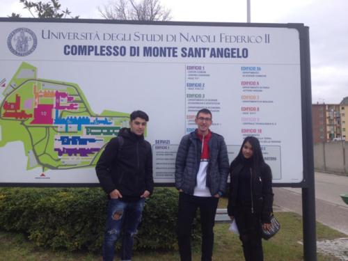 Olimpiadi della Matematica (7/2/19 e 19/2/19)