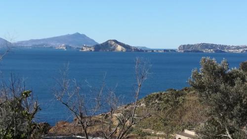 Sopralluogo dell'isola di Nisida per le Giornate di Primavera del FAI (12/2/2019)