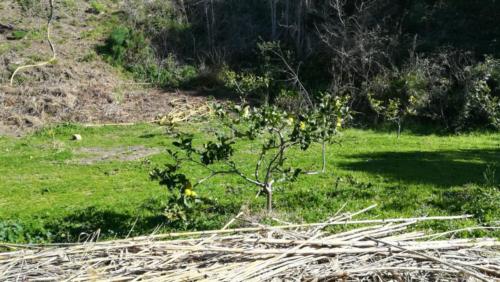 Sopralluogo dell'isola di Nisida per le Giornate di Primavera del FAI (12/2/2019)