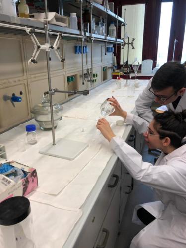 Piano Lauree Scientifiche - Laboratorio di Chimica (21/2/2019)