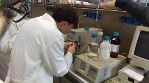 Piano Lauree Scientifiche - Laboratorio di Chimica (21/2/2019)