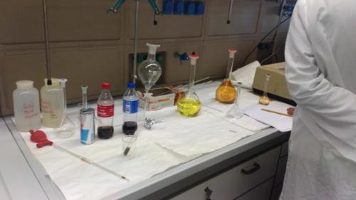 Piano Lauree Scientifiche - Laboratorio di Chimica (21/2/2019)