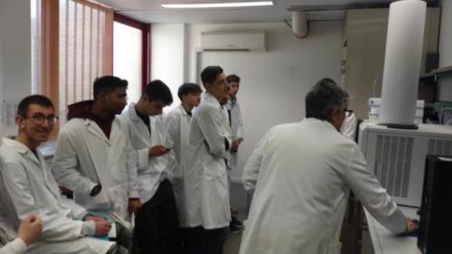 Piano Lauree Scientifiche - Laboratorio di Chimica (21/2/2019)