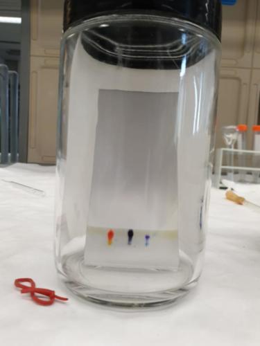 Piano Lauree Scientifiche - Laboratorio di Chimica (21/2/2019)