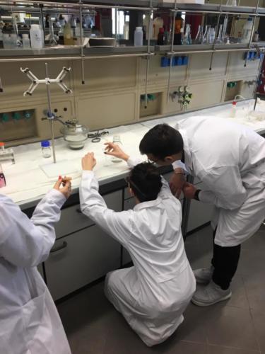 Piano Lauree Scientifiche - Laboratorio di Chimica (21/2/2019)