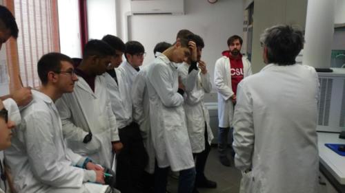 Piano Lauree Scientifiche - Laboratorio di Chimica (21/2/2019)