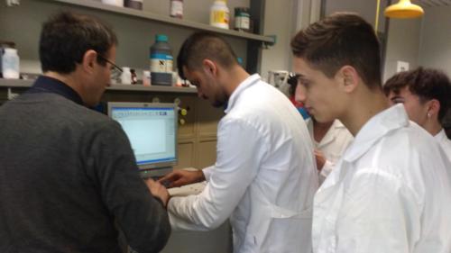 Piano Lauree Scientifiche - Laboratorio di Chimica (21/2/2019)