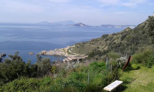 Giornate FAI - Parco Letterario di Nisida (23/3/2019)