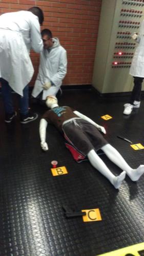 PLS - Piano Lauree Scientifiche -La Scienza e il Delitto (15/4/2019)