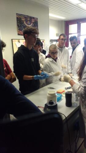 PLS - Piano Lauree Scientifiche -La Scienza e il Delitto (15/4/2019)