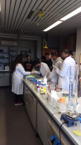 PLS - Piano Lauree Scientifiche -La Scienza e il Delitto (15/4/2019)