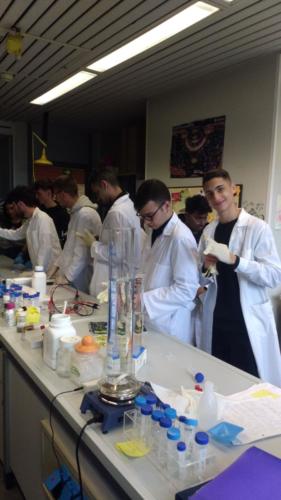 PLS - Piano Lauree Scientifiche -La Scienza e il Delitto (15/4/2019)