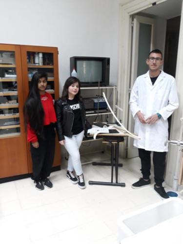 Giochi di Anacleto (16/4/2019 e 3/5/2019)