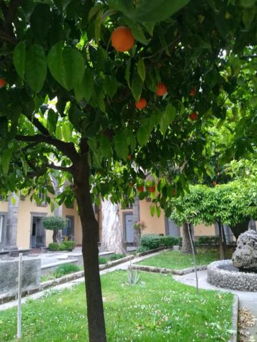 Adotta un Monumento - III Giornata AMA (9/5/2019)