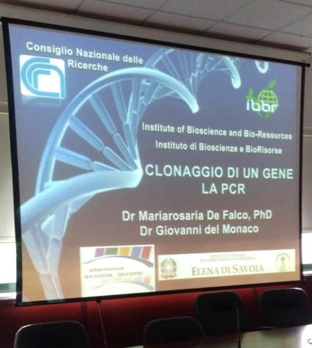 Progetto di Microbiologia e Biotecnologie - CNR (2/5/2019 - 25/6/2019