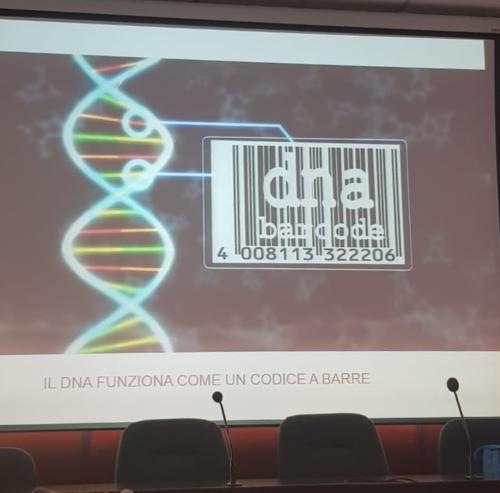 Progetto di Microbiologia e Biotecnologie - CNR (2/5/2019 - 25/6/2019