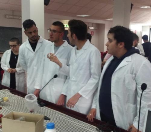 Progetto di Microbiologia e Biotecnologie - CNR (2/5/2019 - 25/6/2019