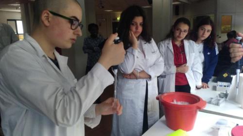Progetto di Microbiologia e Biotecnologie - CNR (2/5/2019 - 25/6/2019