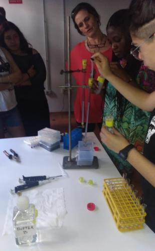 Progetto di Microbiologia e Biotecnologie - CNR (2/5/2019 - 25/6/2019