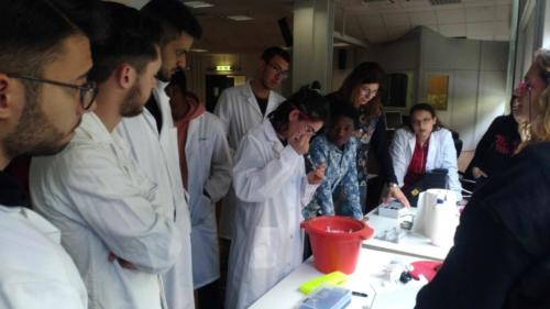 Progetto di Microbiologia e Biotecnologie - CNR (2/5/2019 - 25/6/2019